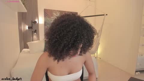 Snapshot of avalon_badger chatting on September 2025 07:50:02 PM Avalon online show from September 2025 07:50:02 PM