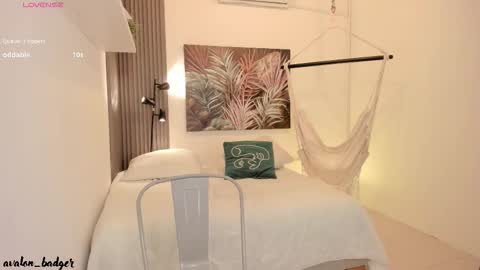 Snapshot of avalon_badger chatting on October 2025 08:29:02 PM Avalon online show from October 2025 08:29:02 PM