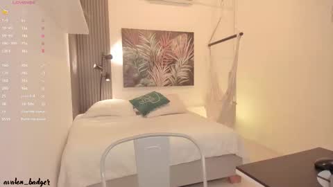 Snapshot of avalon_badger chatting on October 2025 07:47:02 PM Avalon online show from October 2025 07:47:02 PM