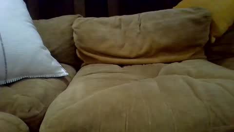 Snapshot of averagecock696969 chatting on February 2025 06:17:02 AM averagecock696969 online show from February 2025 06:17:02 AM