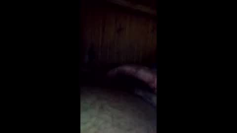 averagejoey89 online show from May 2026 06:07:02 AM