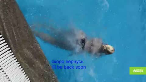 avr0ria online show from January 2026 05:34:02 AM