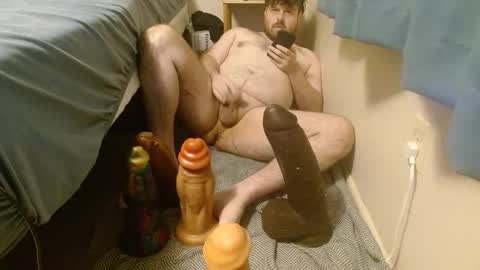awizr online show from May 2026 09:49:02 AM