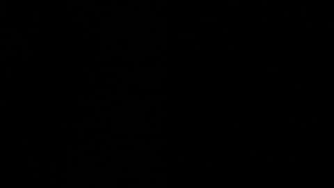 Ayden Miller online show from December 2024 06:52:01 AM