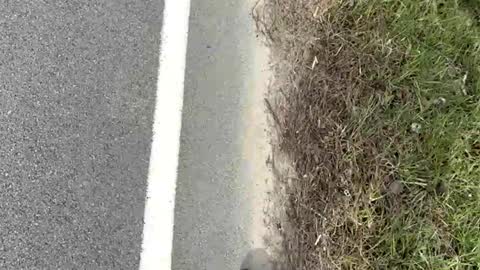 AylaTy online show from March 2026 08:15:01 PM