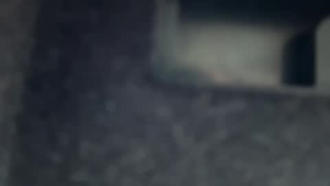 Snapshot of aymax95 chatting on November 2025 11:38:02 AM AYBOY online show from November 2025 11:38:02 AM