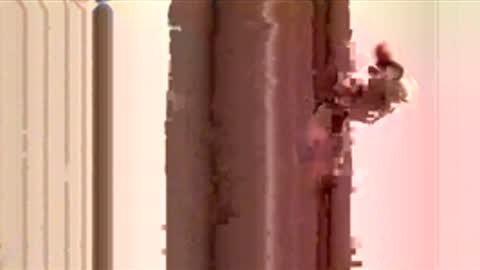 ayquericoseve online show from November 2025 03:31:01 AM