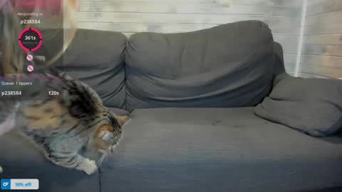 Snapshot of azalea_love chatting on April 2026 01:23:01 PM Maribel Bel online show from April 2026 01:23:01 PM