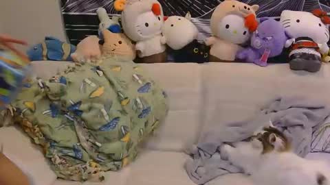 Snapshot of aznp1ea5er chatting on February 2026 04:19:01 AM aznp1ea5er online show from February 2026 04:19:01 AM