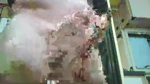 Snapshot of azzlis chatting on March 2026 09:10:01 PM huge mature cock online show from March 2026 09:10:01 PM