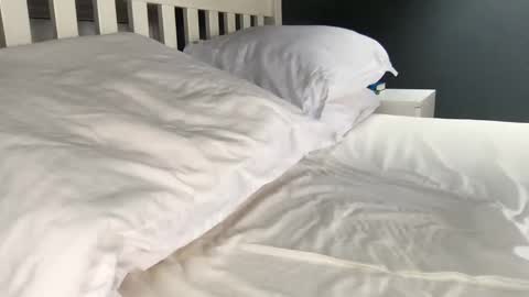 Snapshot of b1gd0ng1111 chatting on September 2025 09:44:02 AM b1gd0ng1111 online show from September 2025 09:44:02 AM