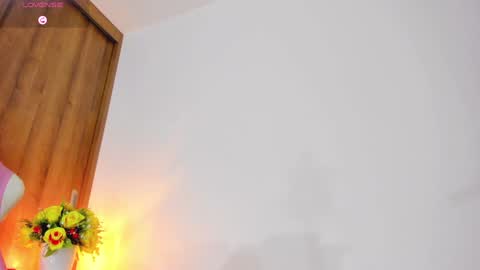 Snapshot of babybriexxx_ chatting on January 2025 01:48:02 AM Brianna online show from January 2025 01:48:02 AM