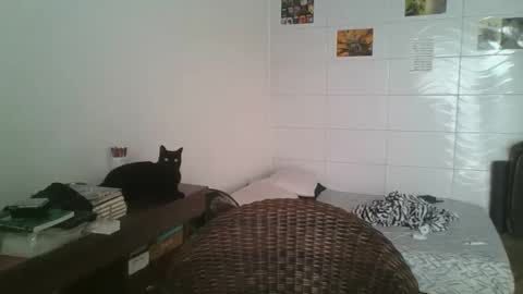 babydemon6 online show from November 2025 06:50:01 PM