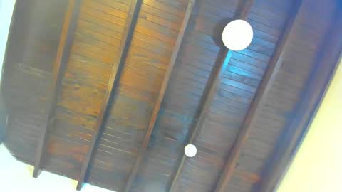 babylattin online show from February 2026 03:21:02 AM