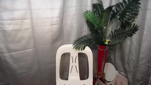 Snapshot of babynexy69 chatting on October 2025 02:53:01 AM Nexie online show from October 2025 02:53:01 AM