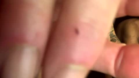 backwoodswolf online show from March 2025 07:43:02 AM