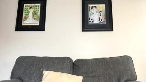 badbi1000 online show from October 2025 10:10:02 PM