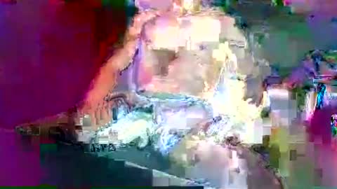 Mexican livin Off the Wall online show from January 2025 07:04:02 AM