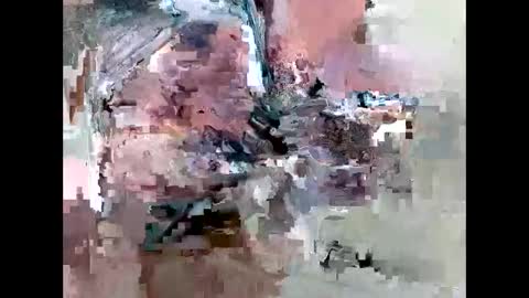 bainescpl2024 online show from February 2026 09:13:02 AM