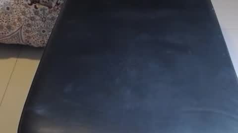 Snapshot of baker305 chatting on October 2025 02:46:02 AM baker305 online show from October 2025 02:46:02 AM