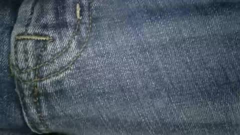 boton online show from November 2025 11:42:01 AM