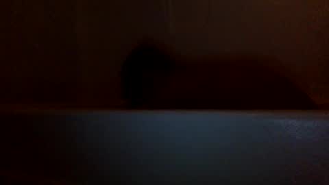 lets fuck my cock online show from December 2024 07:27:02 AM