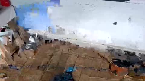 ballshanginglowaf online show from February 2026 12:31:01 AM