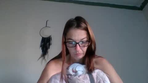 bamacpl80 online show from October 2025 01:01:01 PM