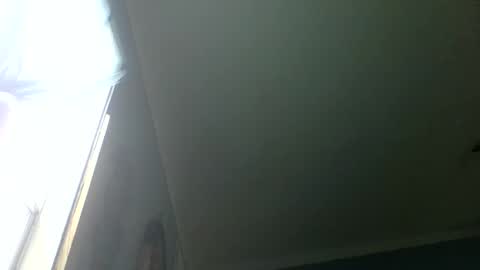 bamacpl80 online show from May 2026 03:06:01 PM