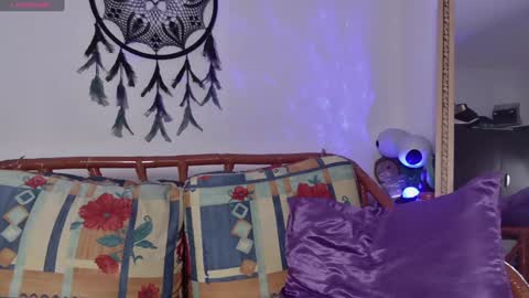 Snapshot of bandit_monkey chatting on January 2025 02:53:01 AM V E R O N I C A online show from January 2025 02:53:01 AM