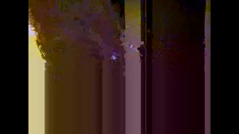 Snapshot of baneisher chatting on February 2025 09:59:02 AM Baneisher online show from February 2025 09:59:02 AM