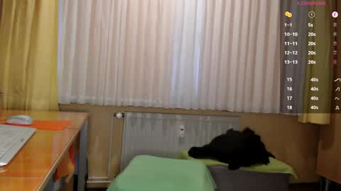       online show from May 2026 06:08:01 AM