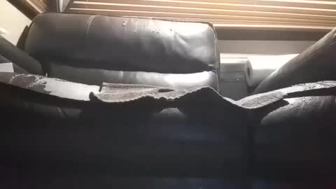 baobabtree10 online show from October 2025 12:09:01 PM