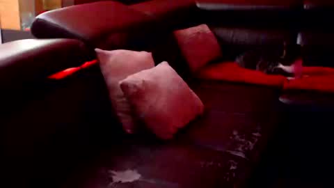 BARBARA online show from September 2025 08:31:01 PM