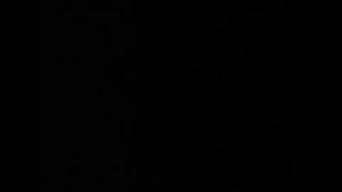 barbarosarslanlar online show from September 2025 12:06:01 PM