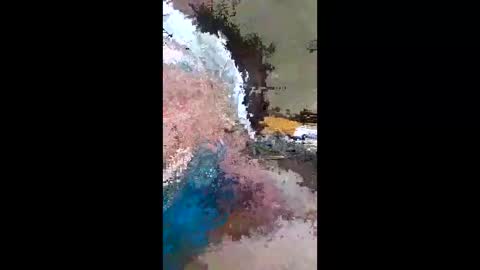 Snapshot of barbitall chatting on January 2026 08:03:02 PM barbitall online show from January 2026 08:03:02 PM