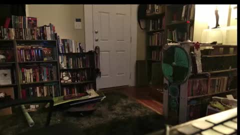 Wraith online show from February 2026 05:30:01 AM