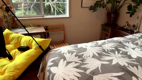 Tasten Spike online show from December 2024 11:58:02 PM