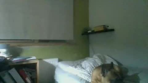 Snapshot of bart_poland chatting on October 2025 09:02:02 PM bart_poland online show from October 2025 09:02:02 PM