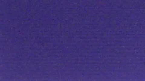 bartbartek online show from November 2025 06:01:01 AM