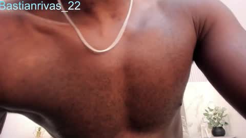 Snapshot of bastianrivas chatting on October 2025 11:55:02 AM Bastian. online show from October 2025 11:55:02 AM