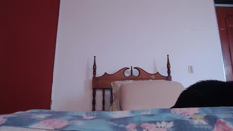 bayonette_black online show from September 2025 12:10:02 PM