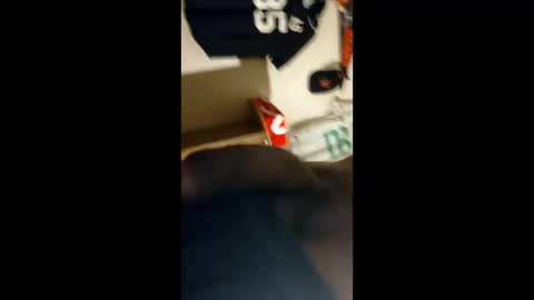 Snapshot of baz_esp chatting on April 2026 11:29:01 AM baz_esp online show from April 2026 11:29:01 AM