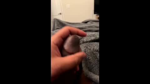 bbc4_fun online show from February 2025 06:07:01 AM