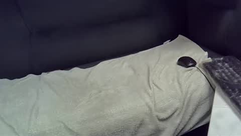 bbc_highness online show from February 2025 09:11:02 PM