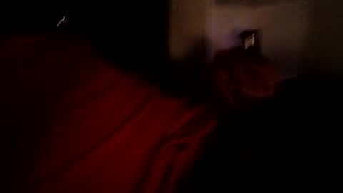 bbetoven online show from October 2025 06:50:02 AM