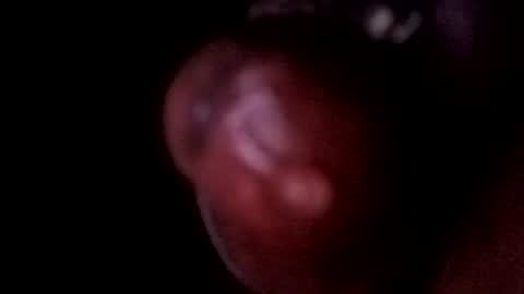 bcfalcon69 online show from June 2026 05:09:01 AM