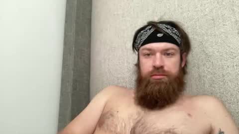 bd_energy_drink online show from May 2026 03:44:02 PM