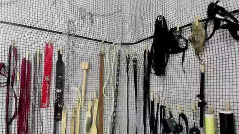 Snapshot of bdsm_meduza chatting on February 2026 06:26:01 AM Meduza online show from February 2026 06:26:01 AM
