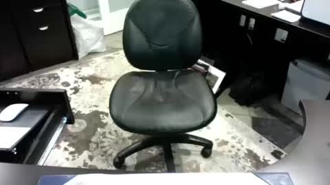 Snapshot of beagle1 chatting on October 2025 12:00:01 AM beagle1 online show from October 2025 12:00:01 AM